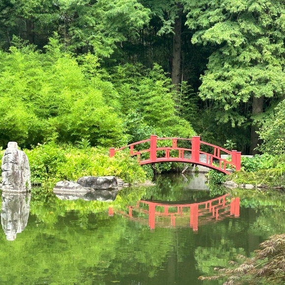 Meet your Posher, Posh - Picture 2 of 2